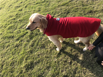 Chaleco Térmico Reversible para Perros - Ropa de Abrigo Otoño Invierno - Image 9