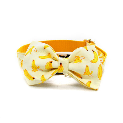Collar de Cuerda para Mascotas con Hebilla de Metal Dorada - Image 12