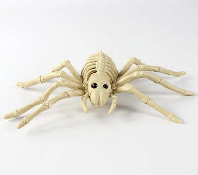Cráneo Animal de Plástico - Réplica Esqueleto Decorativo - Image 19
