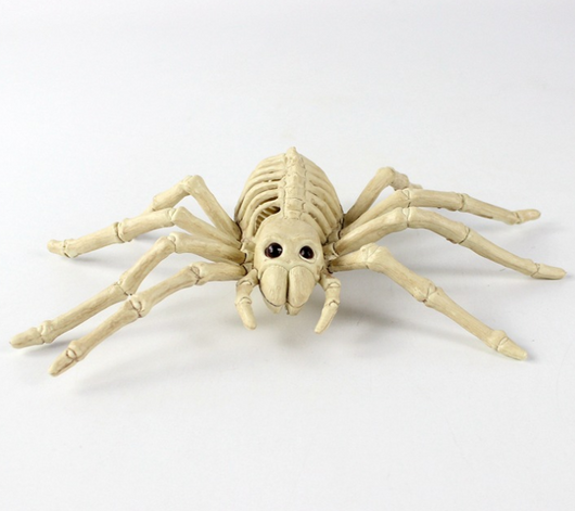 Cráneo Animal de Plástico - Réplica Esqueleto Decorativo - Image 19