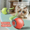 Juguete Interactivo Automático para Gatos - Pelota Rodante Recargable USB