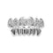 Plata Dientes Inferiores Brillantes