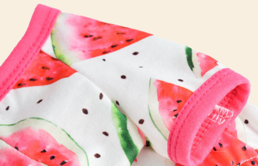 Mono para Perro Estampado Sandía de Cuatro Patas - Image 13