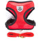 Rojo L