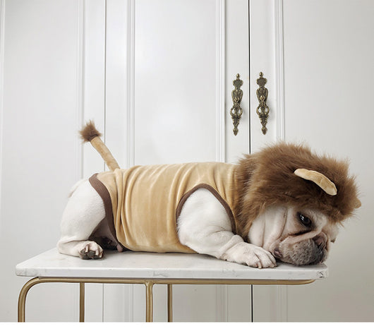 Disfraz de León para Mascotas - Ropa Halloween para Perros y Gatos - Image 7