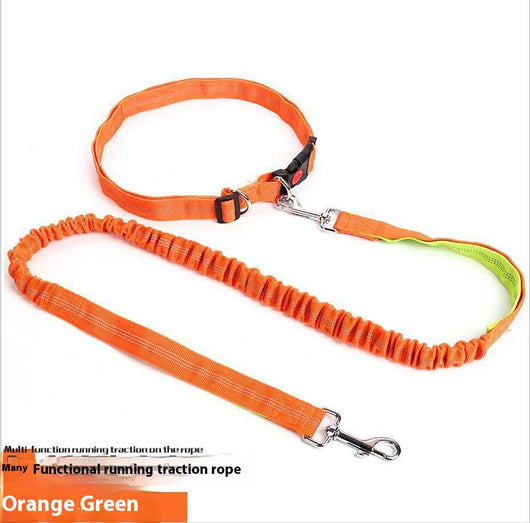 Correa Reflectante para Perros con Elástico - Ideal para Correr de Noche - Image 10