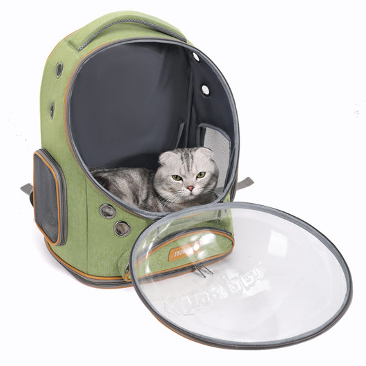 Mochila Transportadora Transparente de Gran Capacidad para Mascotas - Image 3