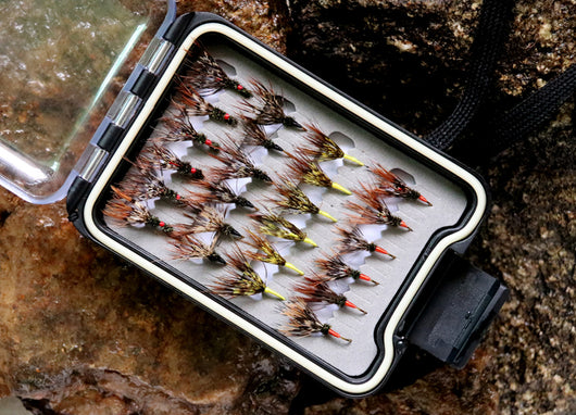 Set de 24 Señuelos Tianzhan para Pesca de Truchas y Carpas - Image 9