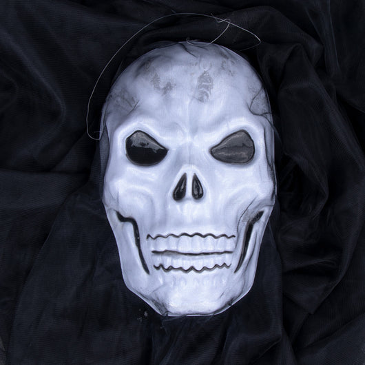 Calavera Decorativa Halloween - Image 11