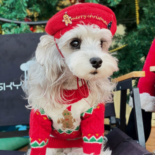 Suéter Navideño para Perros en Lana Premium