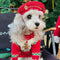 Suéter Navideño para Perros en Lana Premium