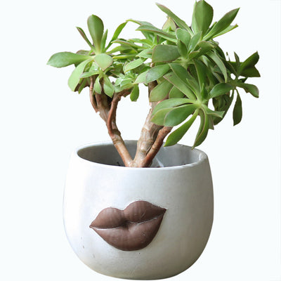 Maceta de Cemento Abstracta con Labios Grandes - Arte Decorativo Moderno - Image 11