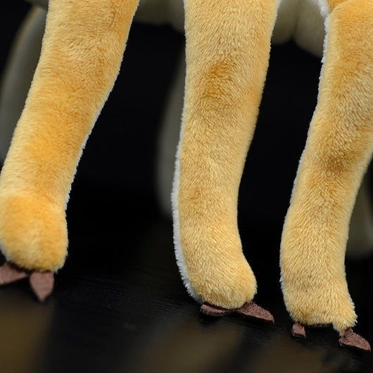 Peluches de la Serie Original de Paleontología - Image 14