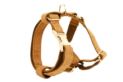 Collar para Mascota en Pana Caramelo - Image 23