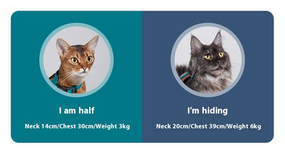 Arnés de Tracción en I para Gatos - Chaleco Pectoral y Dorsal - Image 13