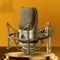 Micrófono Profesional para Estudio y Voces