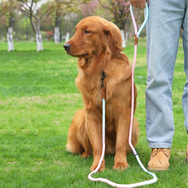 Correa Reflectante Multiusos para Pasear Perros y Gatos