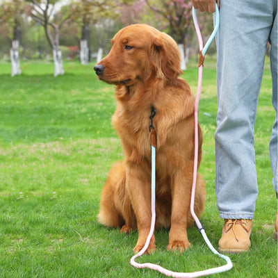 Correa Reflectante Multiusos para Pasear Perros y Gatos - Image 2