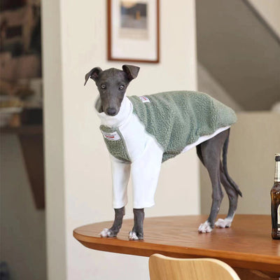Ropa para Perros Pequeños y Medianos Whybit - Accesorios para Galgos - Image 4