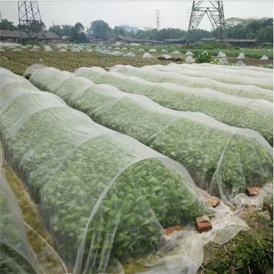 Redes de Nylon para Protección de Plantas y Cultivos - Image 2