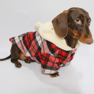 Camisa Cuadriculada para Perros - Ropa Adorable y Cómoda - Image 8