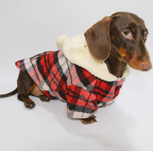 Camisa Cuadriculada para Perros - Ropa Adorable y Cómoda - Image 8