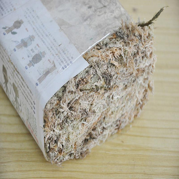 Musgo Estéril Deshidratado Premium
