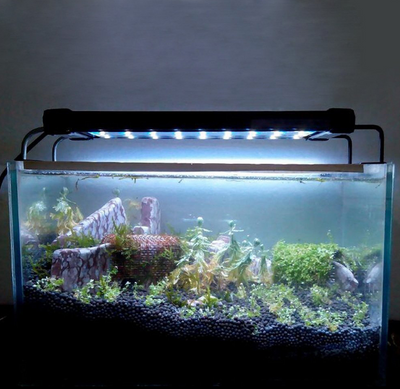Lámpara LED para Acuario de Agua Dulce - Iluminación Profesional para Peces