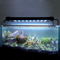 Lámpara LED para Acuario de Agua Dulce - Iluminación Profesional para Peces