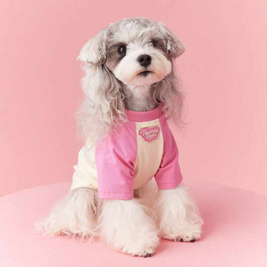 Ropa de Verano para Perros con Contraste de Colores - Image 7