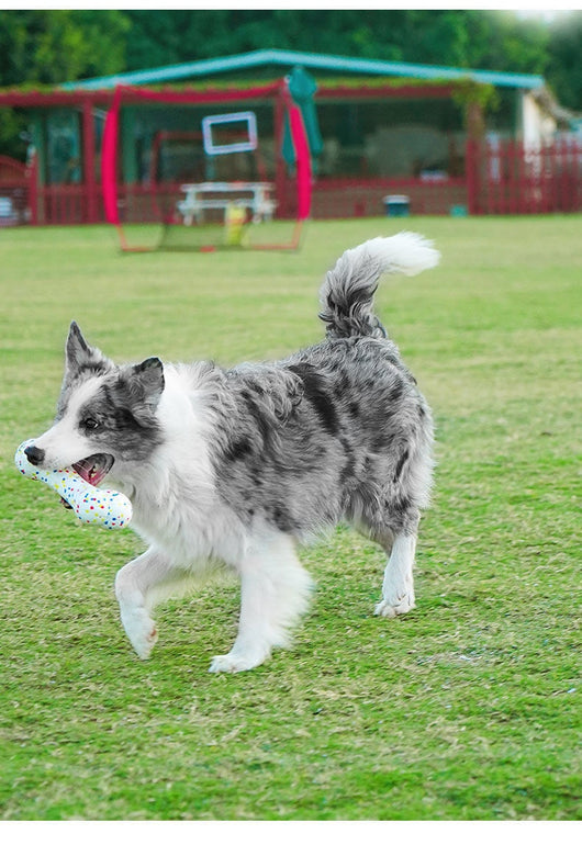 White bone-shaped dog toy with colorful speckles, labeled as interactive and bite-resistant. - Image 12