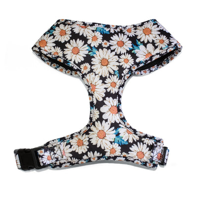 Chaleco Arnés Universal para Mascotas con Enganche Pectoral y Dorsal - Image 20