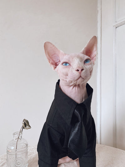 Traje Elegante para Gatos Sphynx y Razas sin Pelo - Image 10