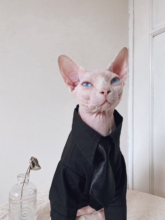 Traje Elegante para Gatos Sphynx y Razas sin Pelo - Image 10