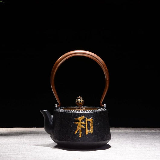 Tetera de Hierro Fundido Artesanal Sin Recubrimiento para Té Kung Fu - Image 15
