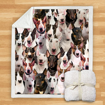 Manta Franela Estampada para Perros - Image 24