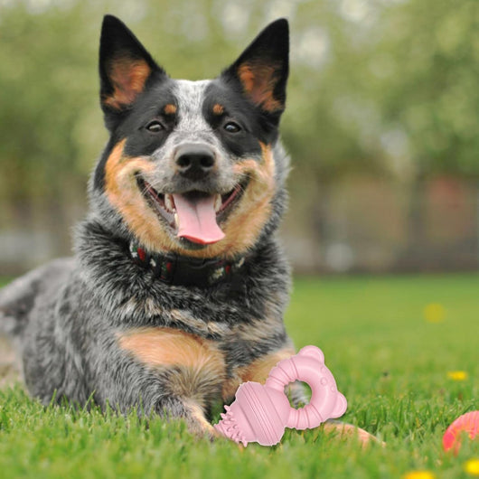 Juguete Masticable de Goma para Limpiar Dientes - Mordedor Resistente para Perros Grandes - Image 12