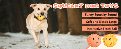 Juguetes Interactivos para Perros - Pelotas de Látex con Sonido Chirriante y Textura Espinuda - Image 10