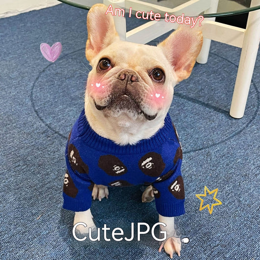Suéter de Invierno para Perros y Gatos - Ropa Trendy y Cálida - Image 5