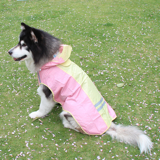 Impermeable Reflectante para Perros con Diseño Colorido - Image 12