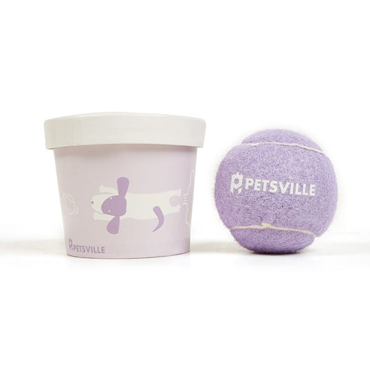 Beige Petsville tennis ball for dogs in a light yellow cylindrical container with a playful dog illustration. - Image 13