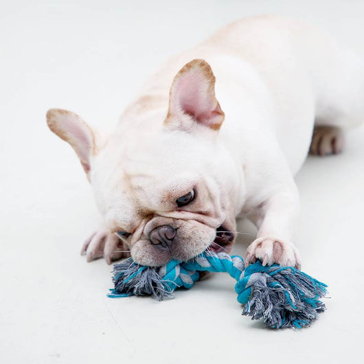 Colchoneta Impermeable para Perros Grandes - Resistente y Duradera - Image 2