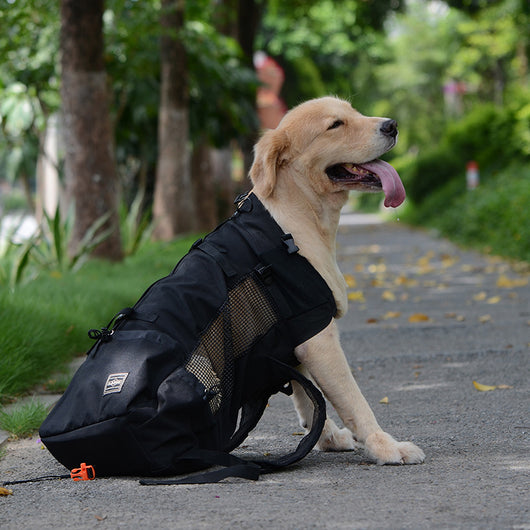 Mochila de Viaje y Compras para Exteriores - Image 5