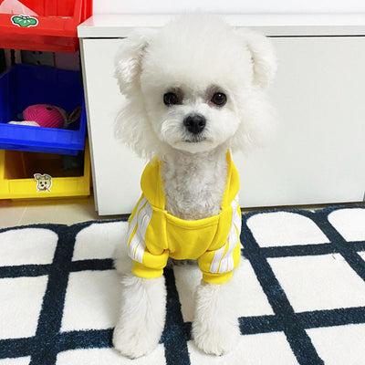 Ropa de Abrigo para Perros - Diseños Adorables Otoño e Invierno - Image 18