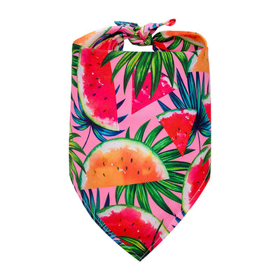 Pañuelo Triangular Absorbente para Perros - Diseño Frutas de Verano - Image 9
