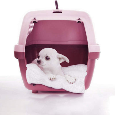Cama Térmica para Mascotas con Calor Microondas - Cojín Autocalefactable - Image 9