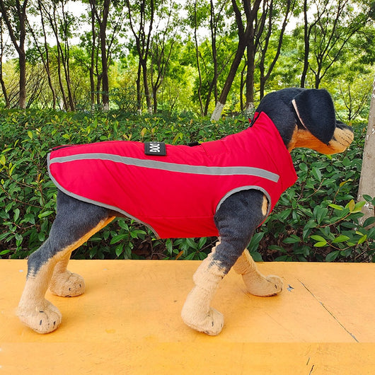 Abrigo Impermeable Personalizado para Perros - Otoño e Invierno - Image 12
