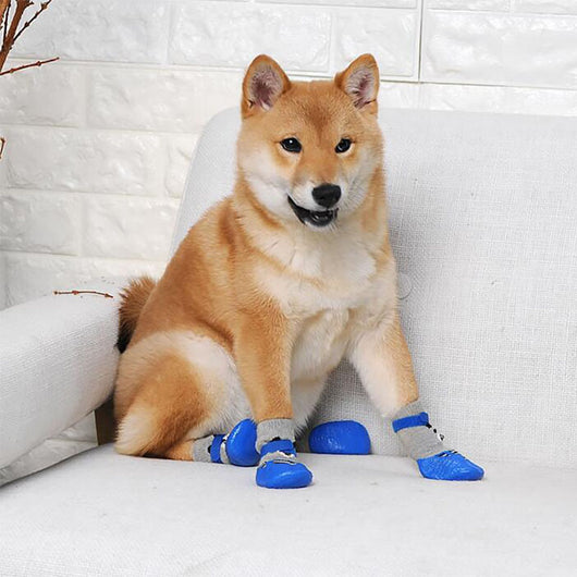 Botines Protectores para Mascotas - Image 5