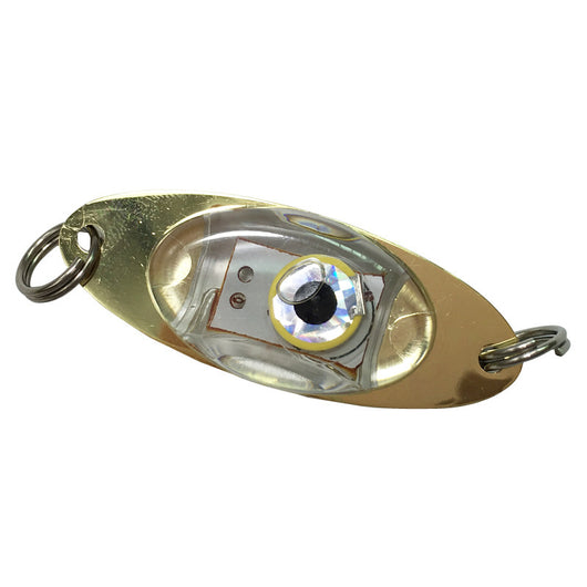 Anzuelo Luminoso con Batería - Señuelo Electrónico para Pesca Nocturna - Image 15
