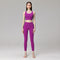 Traje De Hibisco Morado 06 4S